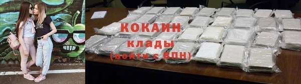 твердый Аркадак