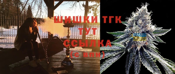 твердый Аркадак