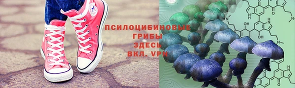 твердый Аркадак