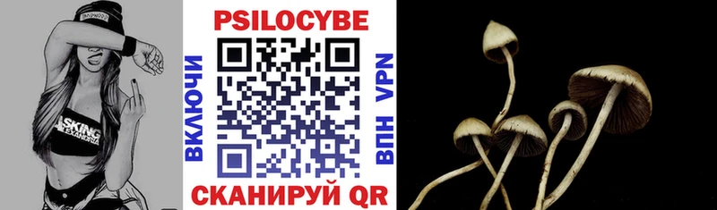 Галлюциногенные грибы Psilocybine cubensis  Узловая 